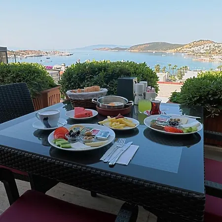 Gumbet Hotel 호텔 3*