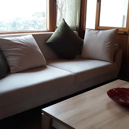 فندق Gumbet Hotel