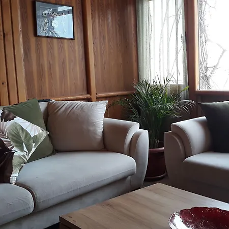 فندق Gumbet Hotel غومْبيت